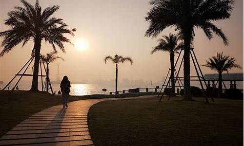 厦门海湾公园夜景_厦门海湾公园夜景图片实