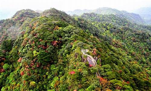 南岭森林公园 门票_南岭森林公园门票